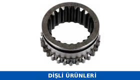 DİŞLİ GURUPLARI